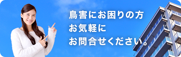 鳥害にお困りの方お気軽にお問合せください。
